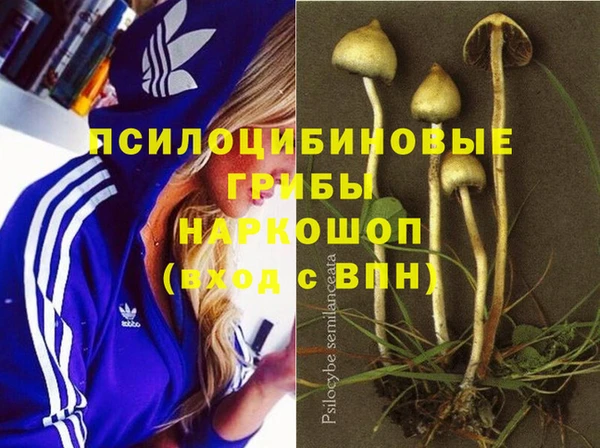 спайс Переславль-Залесский