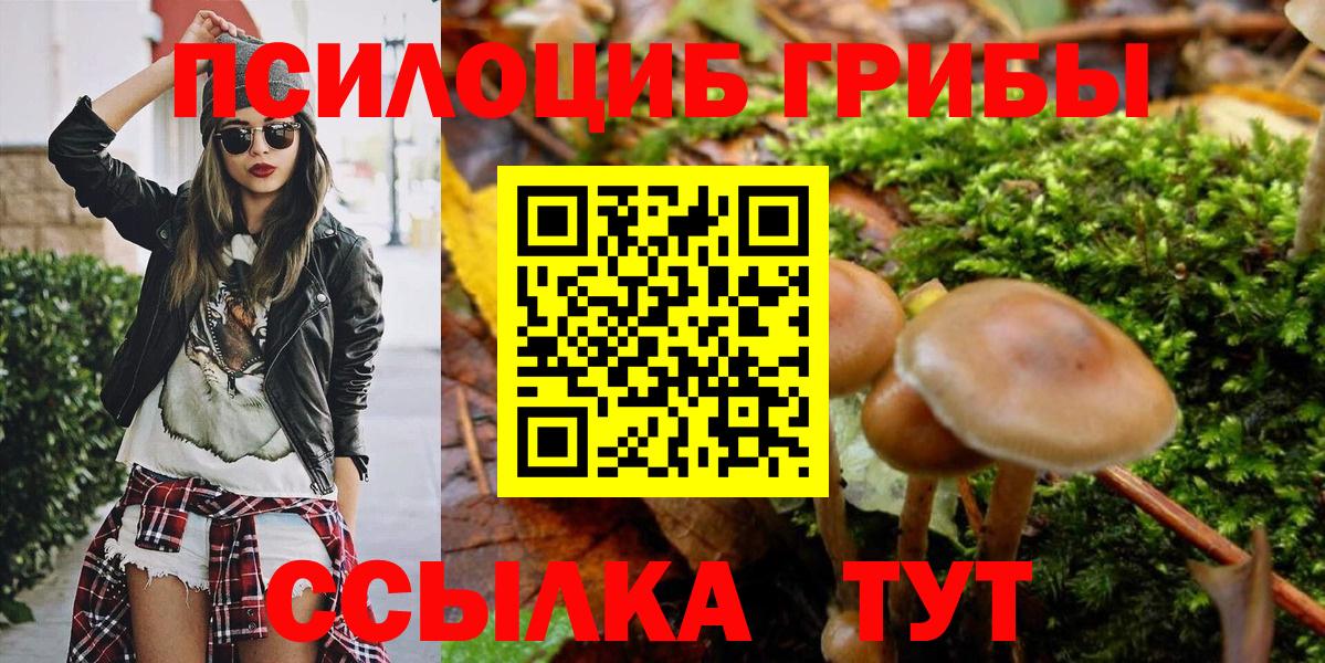 Галлюциногенные грибы GOLDEN TEACHER  Вход с VPN  Кыштым 