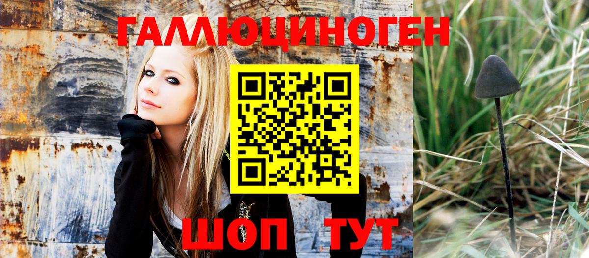 Галлюциногенные грибы Cubensis  Галлюциногенные грибы ЛСД  Кыштым 