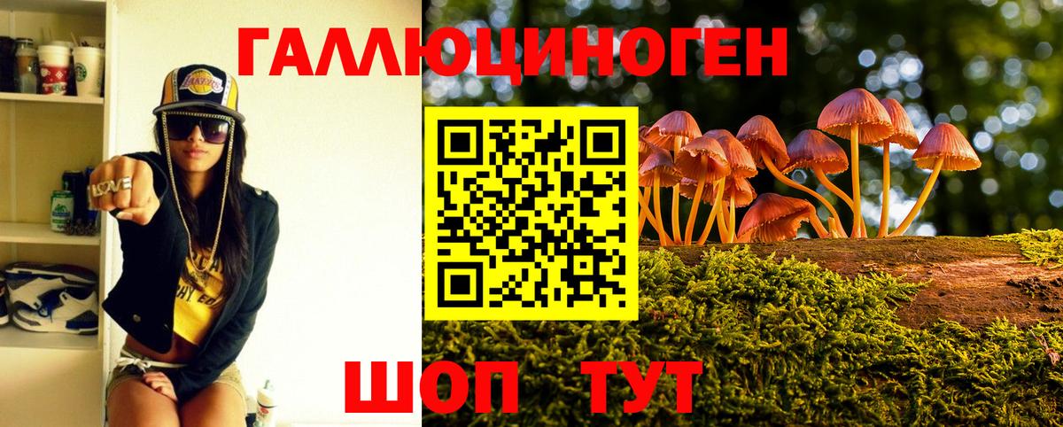 A PVP СК   ГАШ  Cocaine  Кыштым  Бошки Шишки  МЕТ  ГАШИШ  МЕФ кристаллы 