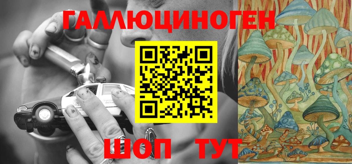 Галлюциногенные грибы Psilocybine cubensis Кыштым